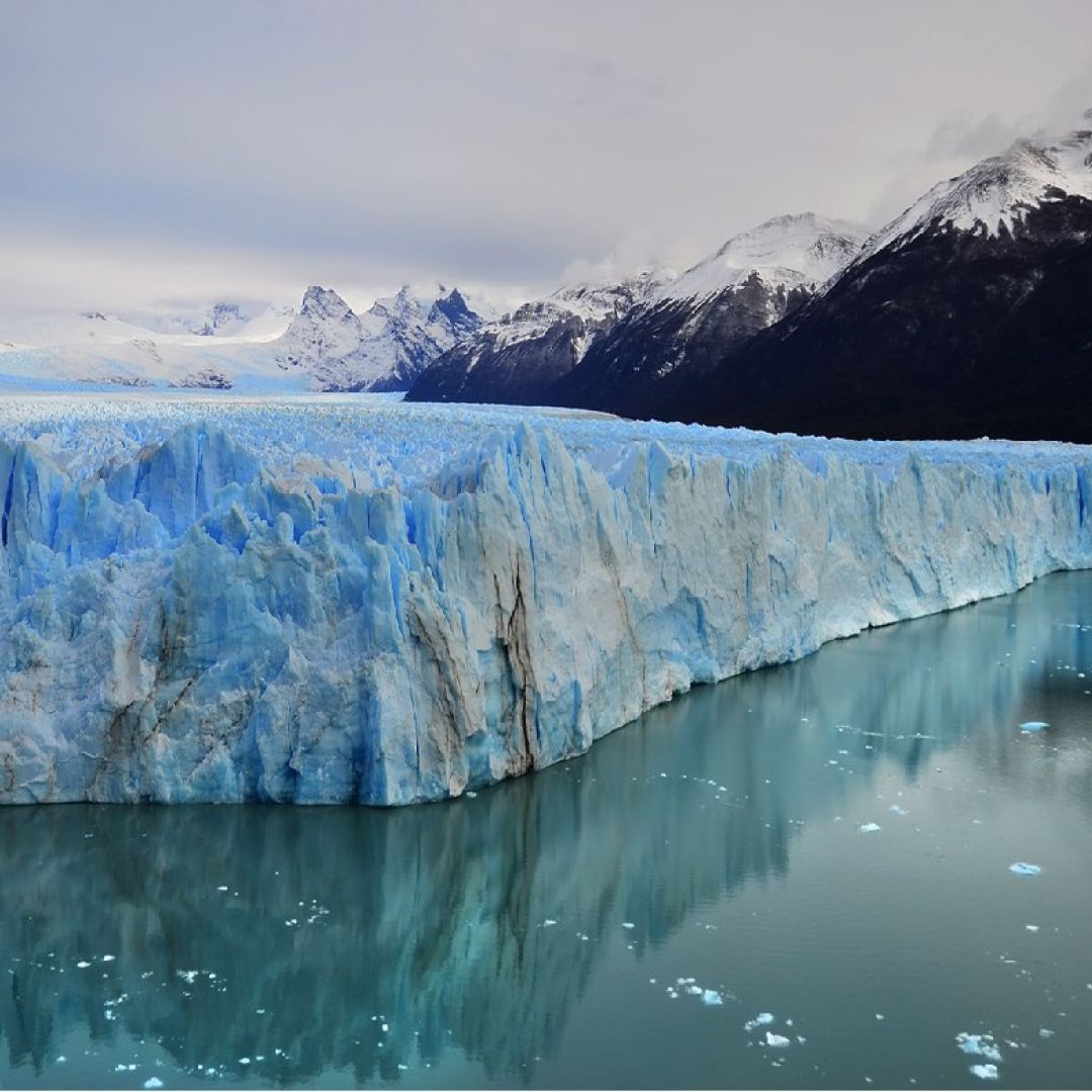 patagonia-austral-y-bosques-andinos-62