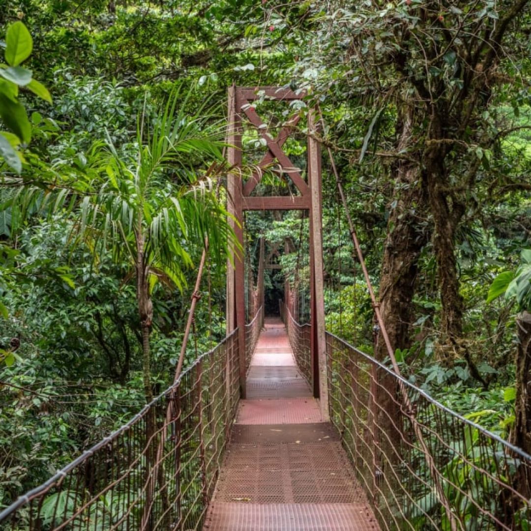 tesoros-naturales-de-costa-rica-90