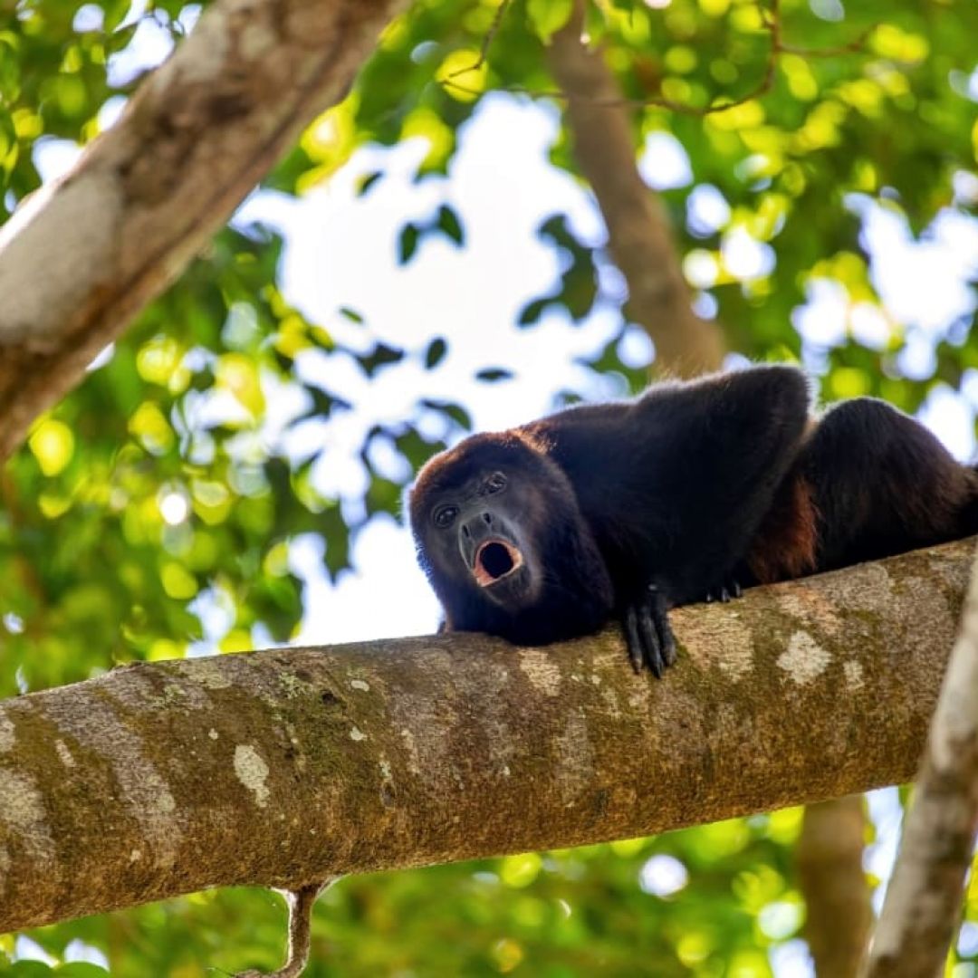 tesoros-naturales-de-costa-rica-90